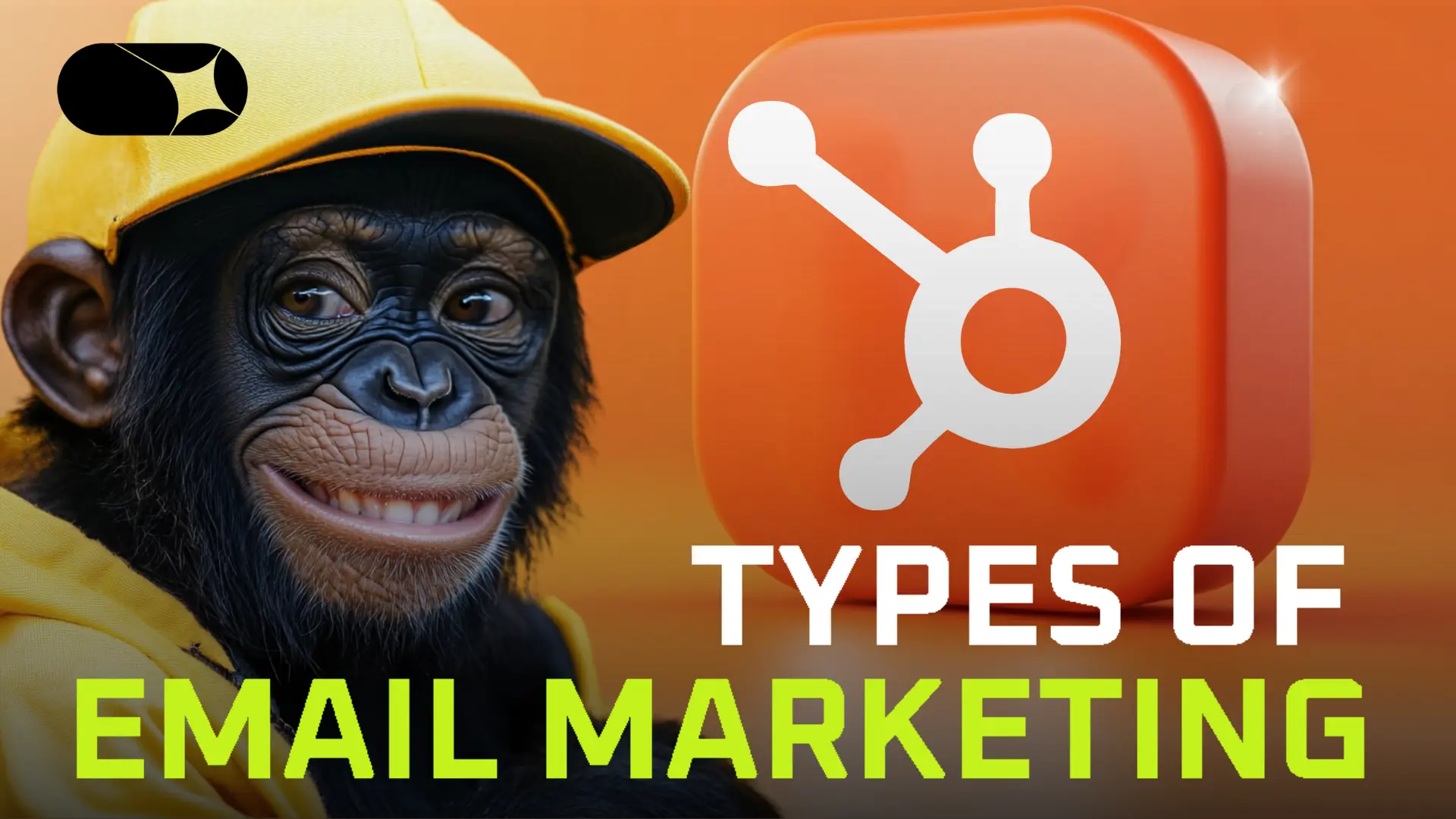 Email Marketing for Beginners: A Complete Guide - Rojas Creator